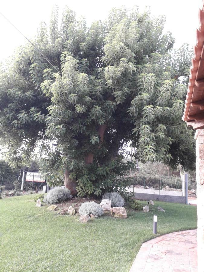 Agriturismo Quattro Mori بورتو توريس المظهر الخارجي الصورة